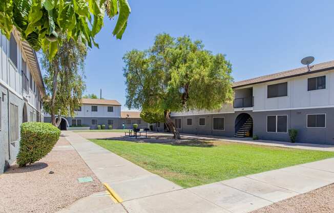 a courtyard between two apartment buildings with a tree in the middle