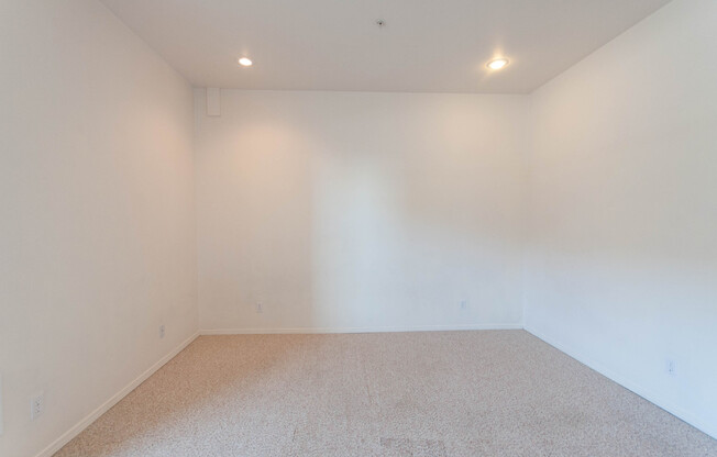 Studio, 1 bath, 380 sqft, $1,099, Unit 205