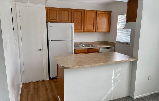 1 bed, 1 bath, $1,250