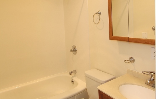 Studio, 1 bath, 300 sqft, $1,225, Unit C-303