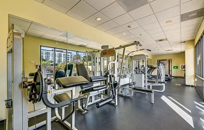 1 bed, 1 bath, $1,600, Unit # 1103