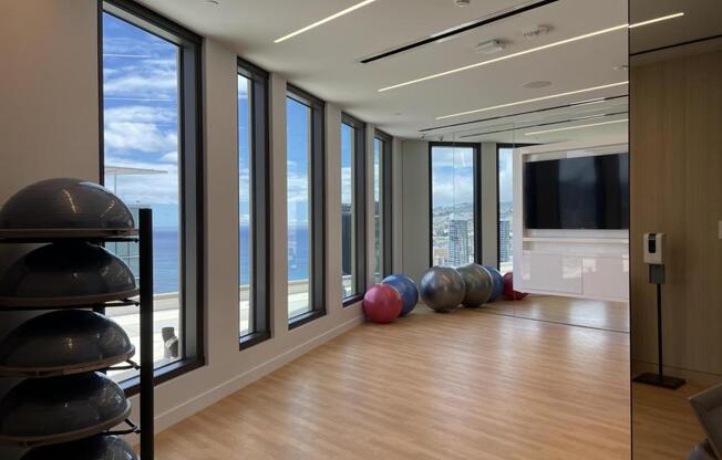 1 bed, 1 bath, 563 sqft, $3,800