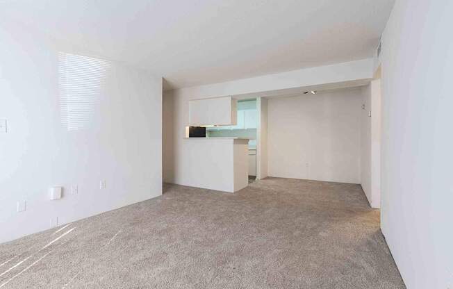 A large, empty room with a carpeted floor and white walls.