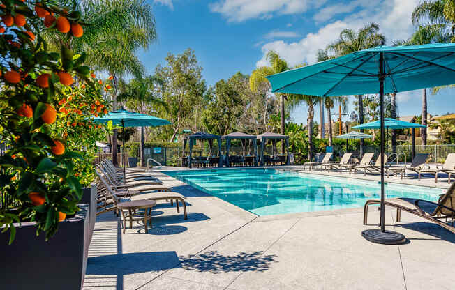 missions at chino hills pool and lounge chairs and umbrellas