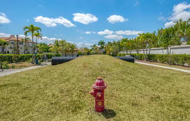 A red fire hydrant is in the middle of a grassy area.