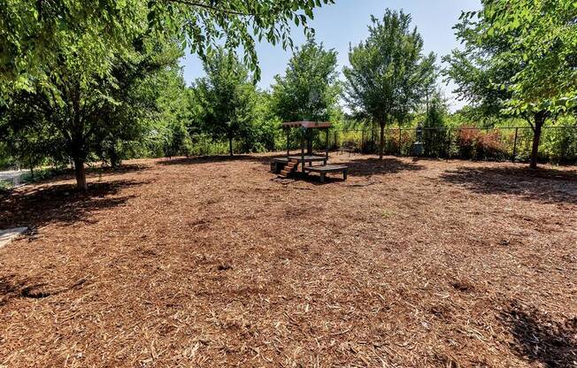 Large dog park with an agility piece in the middle and surrounded by big trees with ample shade