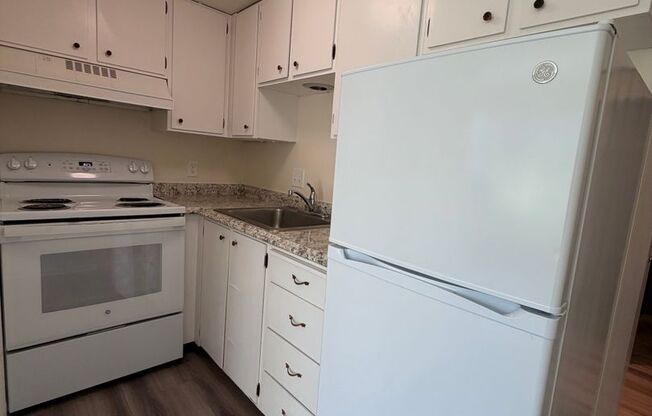 Studio, 1 bath, 400 sqft, $1,195, Unit 206
