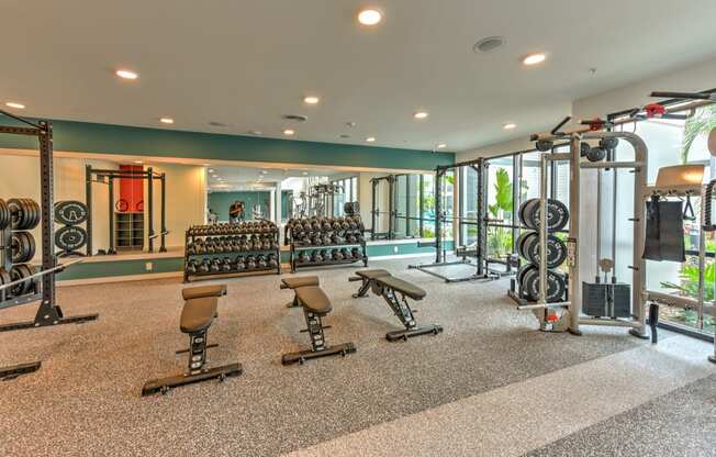 Modern Fitness Center at Pinnacle Apartments, Jacksonville, FL