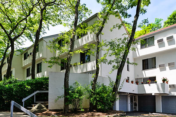 EXPLORE THE BEAUTY OF 
PUTNAM GREEN.