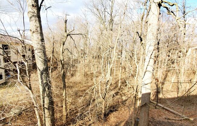 1 bed, 1 bath, 671 sqft, $975, Unit 3707-3B