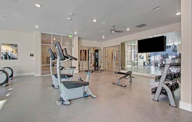 Ritz Classic Fitness Center with Free Weights