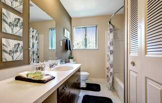 Renovated Bathroom at Knottingham Apartments, Clinton Township