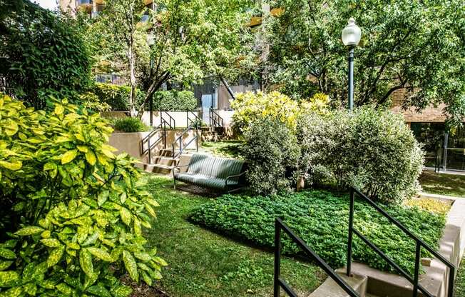 a backyard with stairs and a lawn and trees