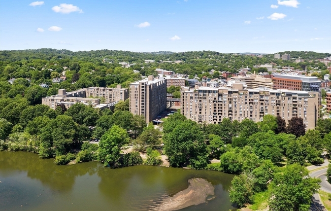 1 bed, 1 bath, 800 sqft, $3,000, Unit 1004