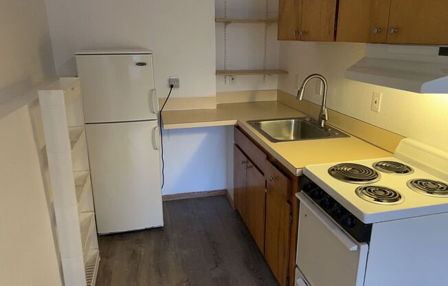 Studio, 1 bath, 311 sqft, $1,250, Unit W01