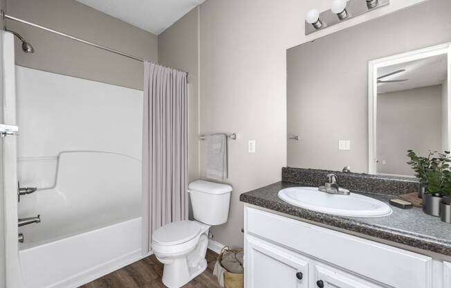 a bathroom with a shower toilet and sink and a mirror