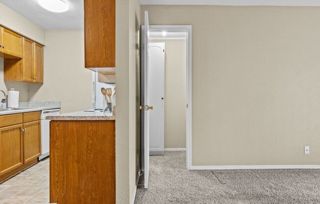 1 bed, 1 bath, 720 sqft, $899, Unit Apt 509