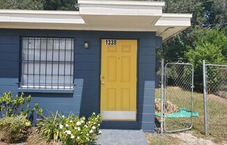 1/1 Duplex near USF & Florida Hospital