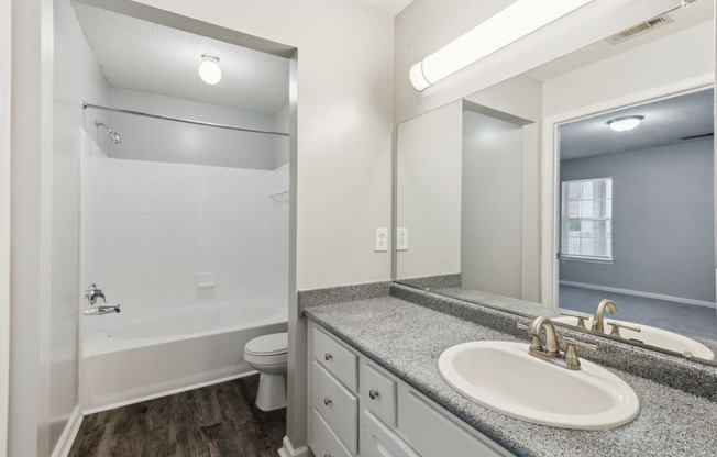 a bathroom with a sink and a toilet and a mirror
