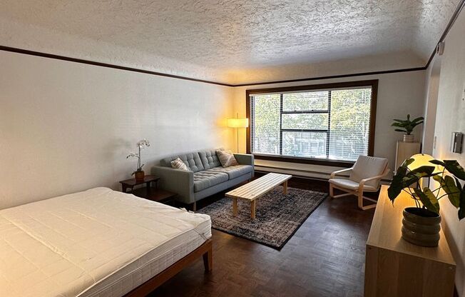 Studio, 1 bath, 429 sqft, $1,300, Unit Unit 103
