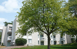 Charlton Apartments leasing office exterior with tree