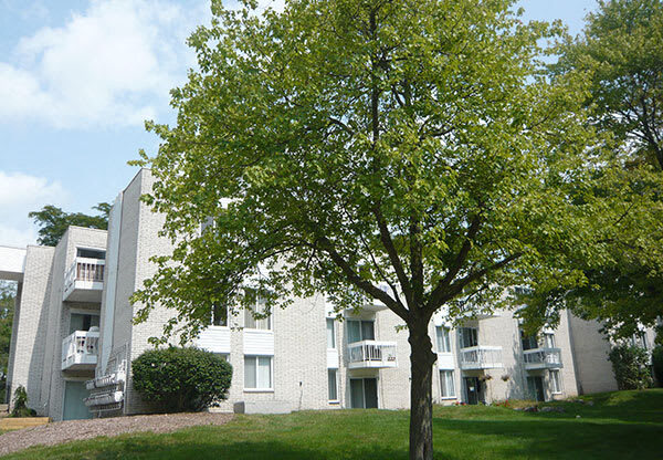 Charlton Apartments leasing office exterior with tree