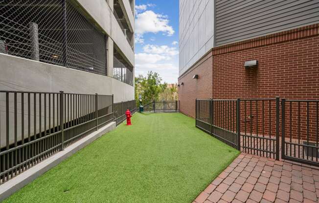 the yard is fenced off with a red fire hydrant