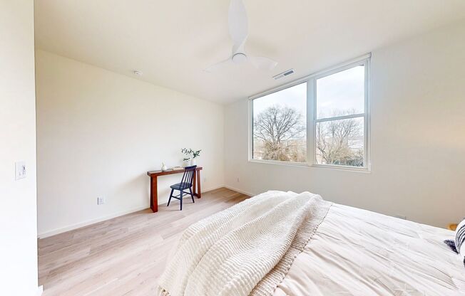 1 bed, 1 bath, 305 sqft, $900