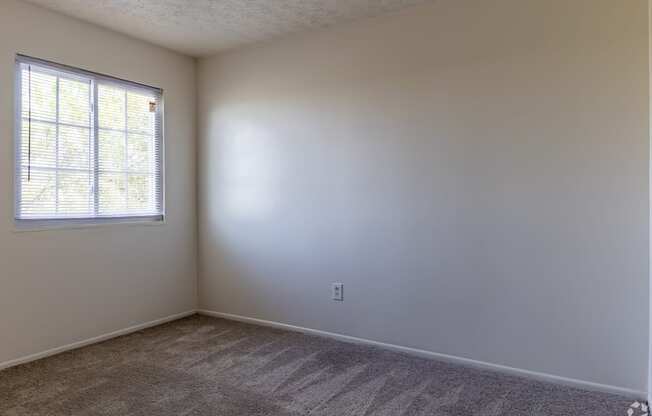 an empty room with a window and carpet