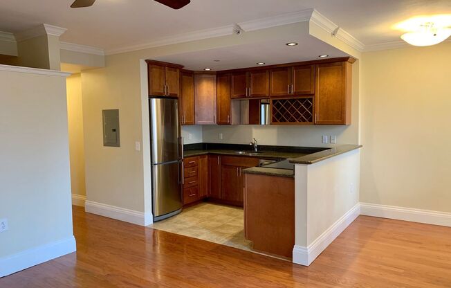 Studio, 1 bath, 527 sqft, $1,695, Unit 0702