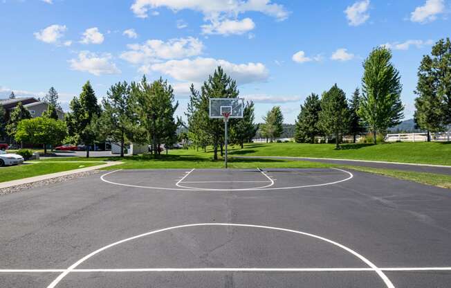 a basketball court in a park with trees