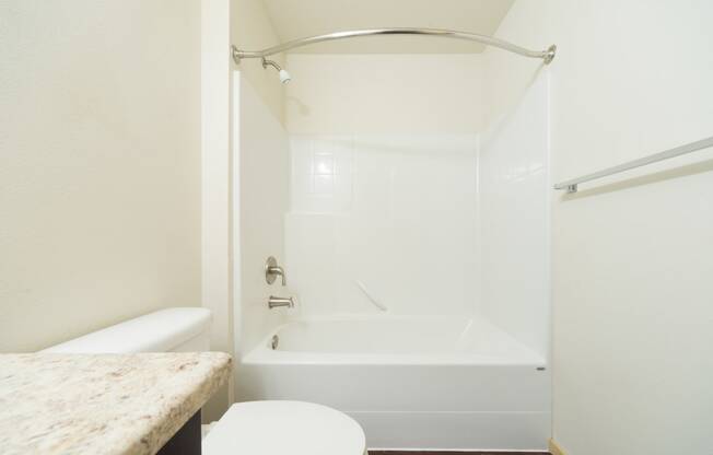 a bathroom with a bathtub and a toilet