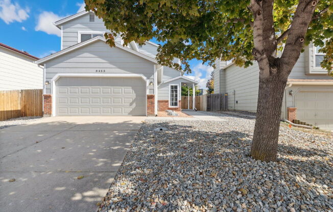 8455 ILEX DR