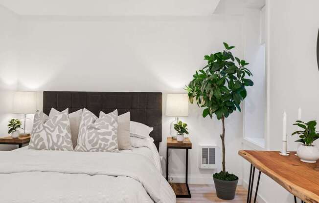 A bedroom with a large bed and a potted plant on the side table.