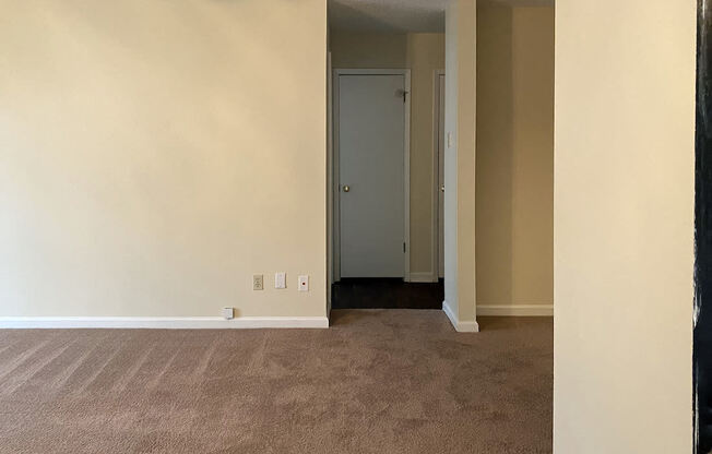 living room with plush carpeting