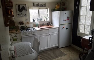 Studio, 1 bath, 300 sqft, $1,250, Unit #4