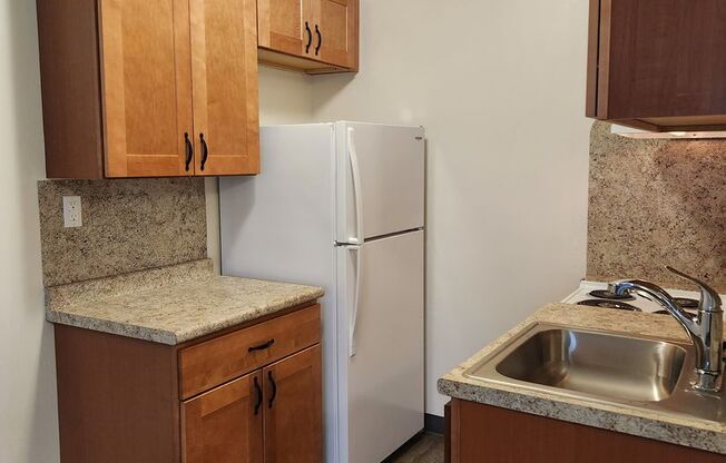 Studio, 1 bath, 384 sqft, $875, Unit FR31003