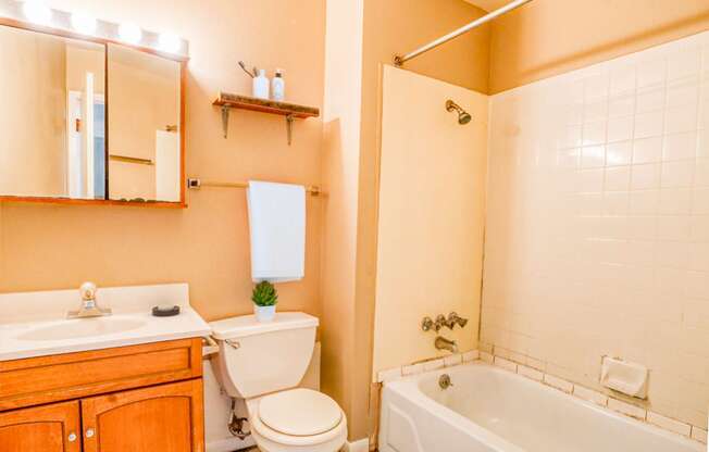 spacious bathroom featuring a tub shower toilet and sink