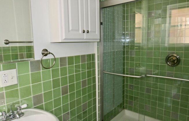 Cozy 1 Bed / 1 Bath - River West