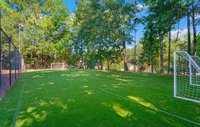 a soccer field with a goal in the middle of it