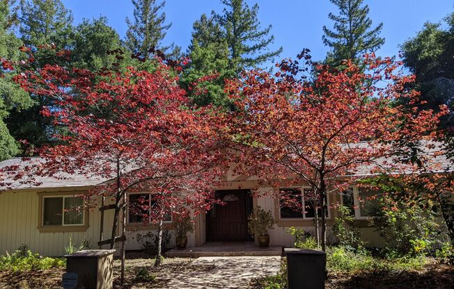 Saratoga Beauty!! Private, tranquil setting you will love! Top Schools! Walk to downtown!