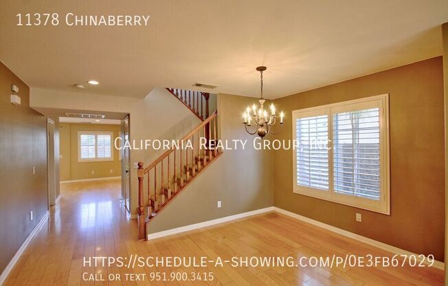 11378 CHINABERRY