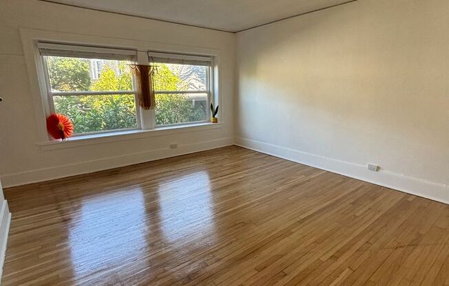 Studio, 1 bath, 431 sqft, $1,475, Unit 212
