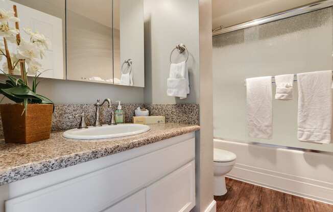 Bathroom with single vanity, granite countertops, hot tub and shower combo, wood style floors