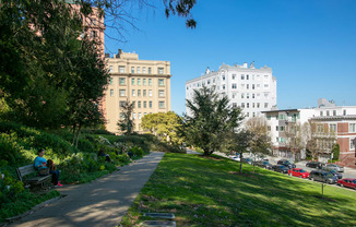 people sitting on a bench in a park with tall buildings in the background