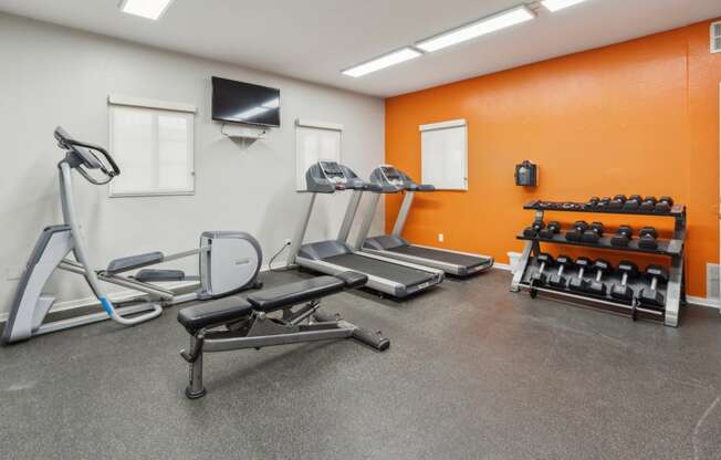 a gym with cardio machines and weights and a television