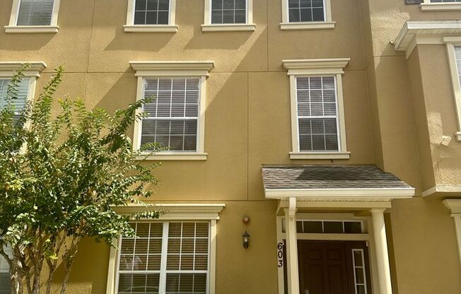 Beautiful 3 bedroom 2 full/2 half bath townhouse with high ceilings and a 2 car garage