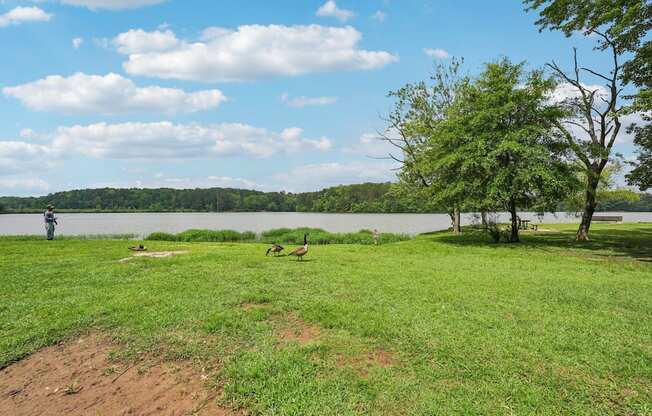 Sweetwater Creek Park