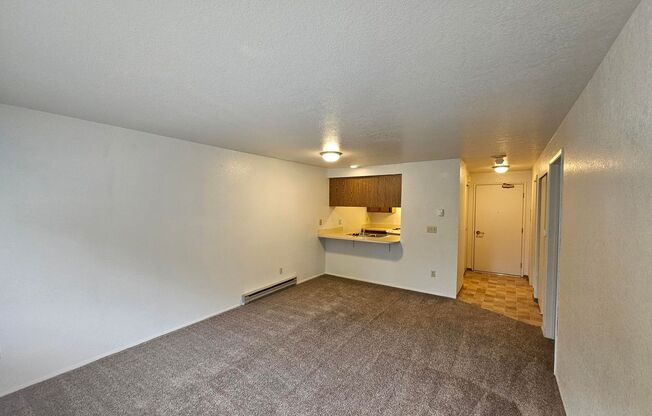 1 bed, 1 bath, 584 sqft, $1,195, Unit 208