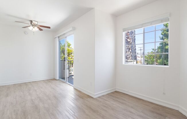 255 Ash Avenue